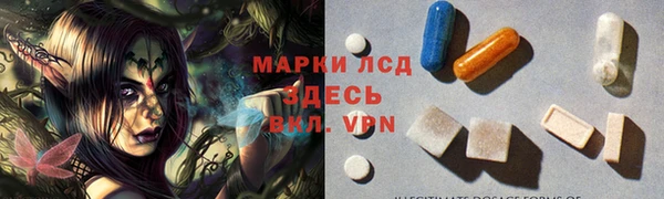крисы Магас