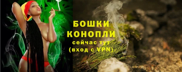 соль ск Медногорск