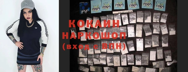 крисы Магас