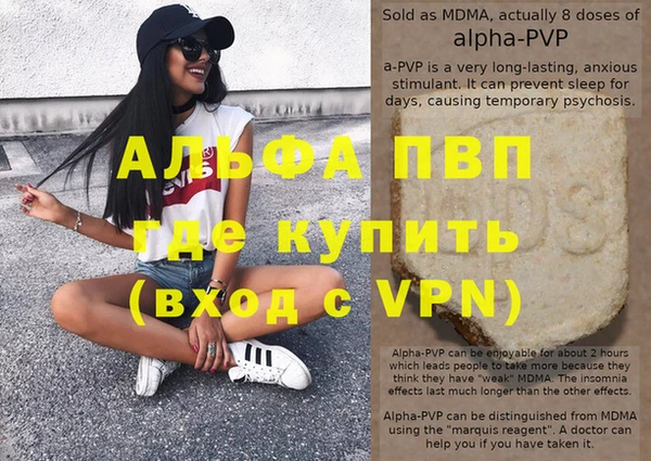 крисы Магас