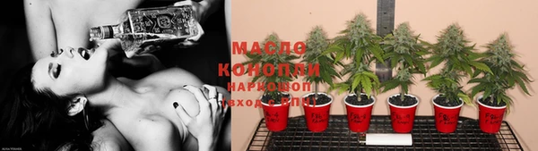 крисы Магас