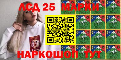 мяу мяу мука Аргун