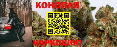 мяу мяу мука Аргун