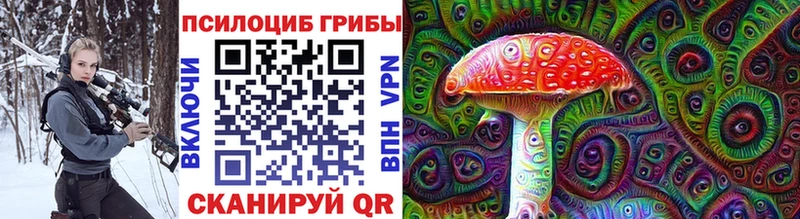 Галлюциногенные грибы мицелий  Тында 
