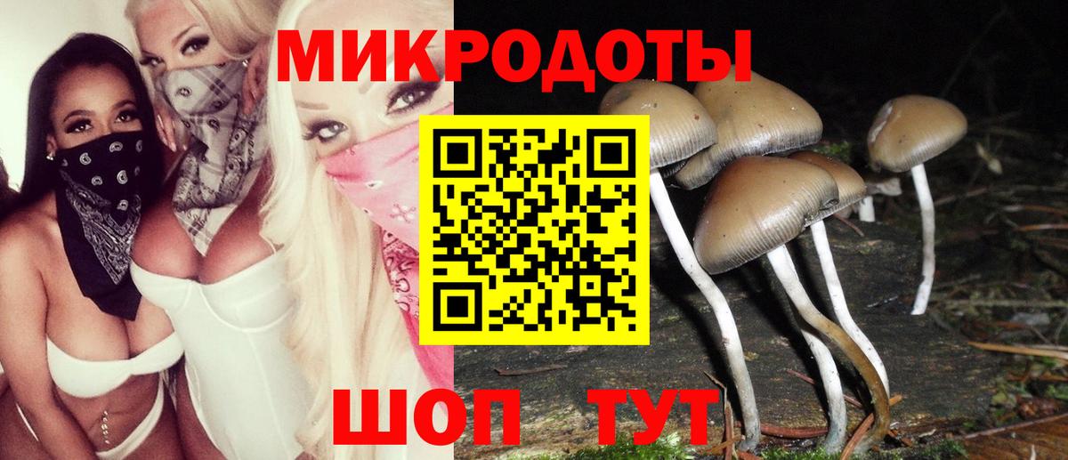 Псилоцибиновые грибы Psilocybine cubensis  Тында 