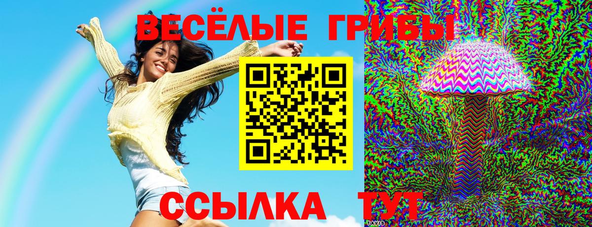 Псилоцибиновые грибы прущие грибы Тында