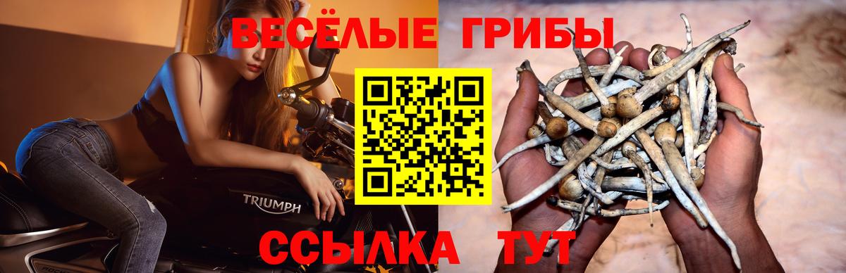 Псилоцибиновые грибы мухоморы Тында