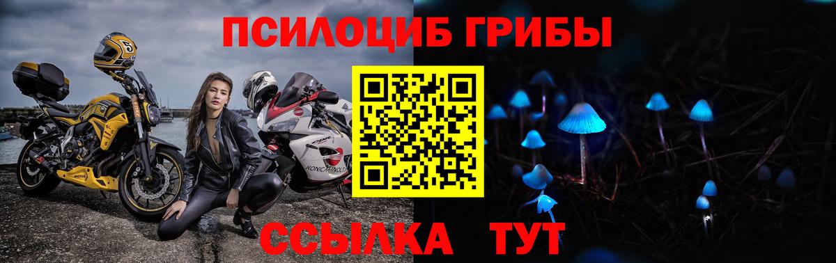 Галлюциногенные грибы Тында